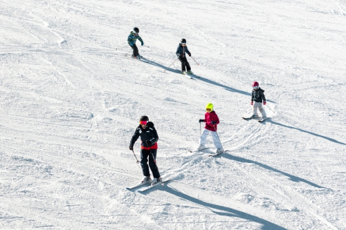 Premières sorties le Mecredi 8 Janvier et Samedi 11 Janvier